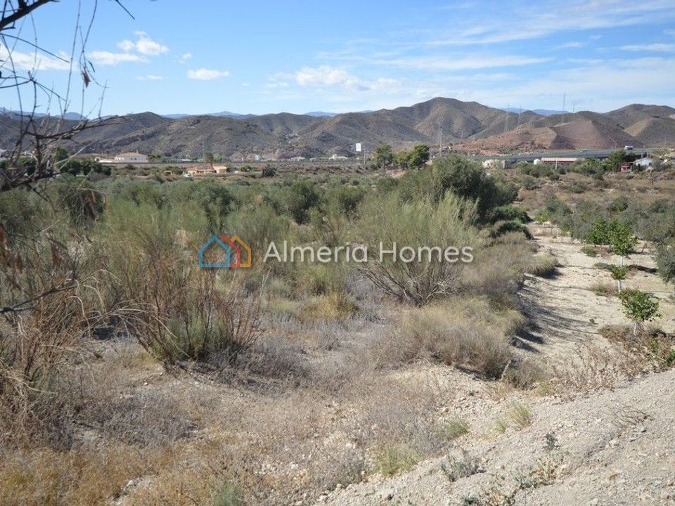 Terreno en Albox, Almeria - foto 4