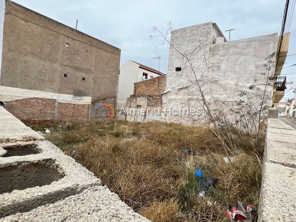 Terreno en Albox, Almeria - foto 4