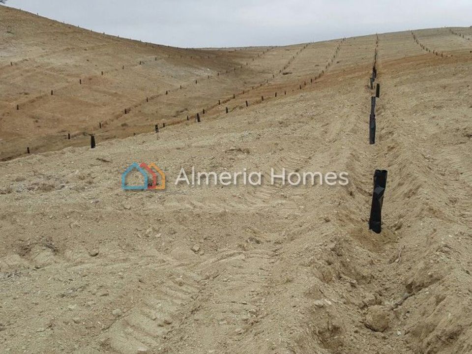 Helårsgrund i Taberno, Almeria - foto 2
