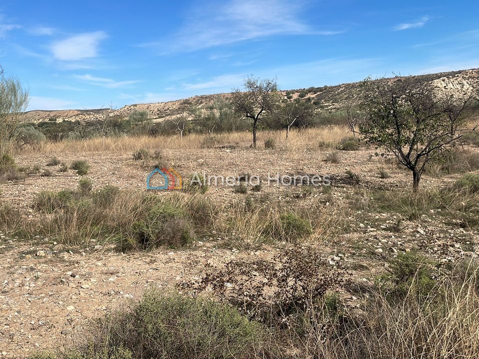 Helårsgrund i Partaloa, Almeria - foto 1