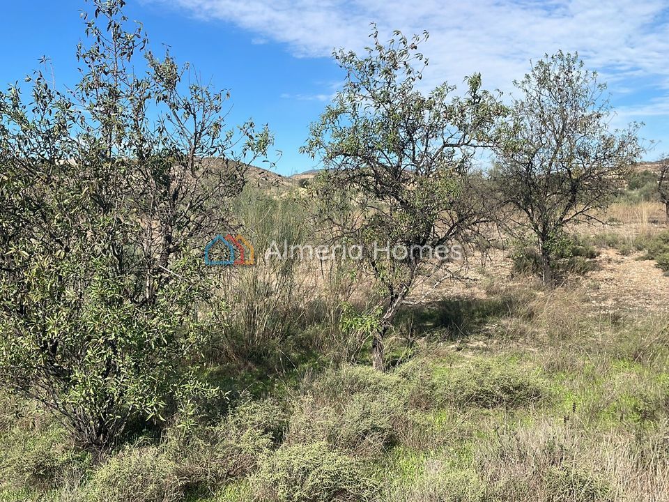 Helårsgrund i Partaloa, Almeria - foto 2