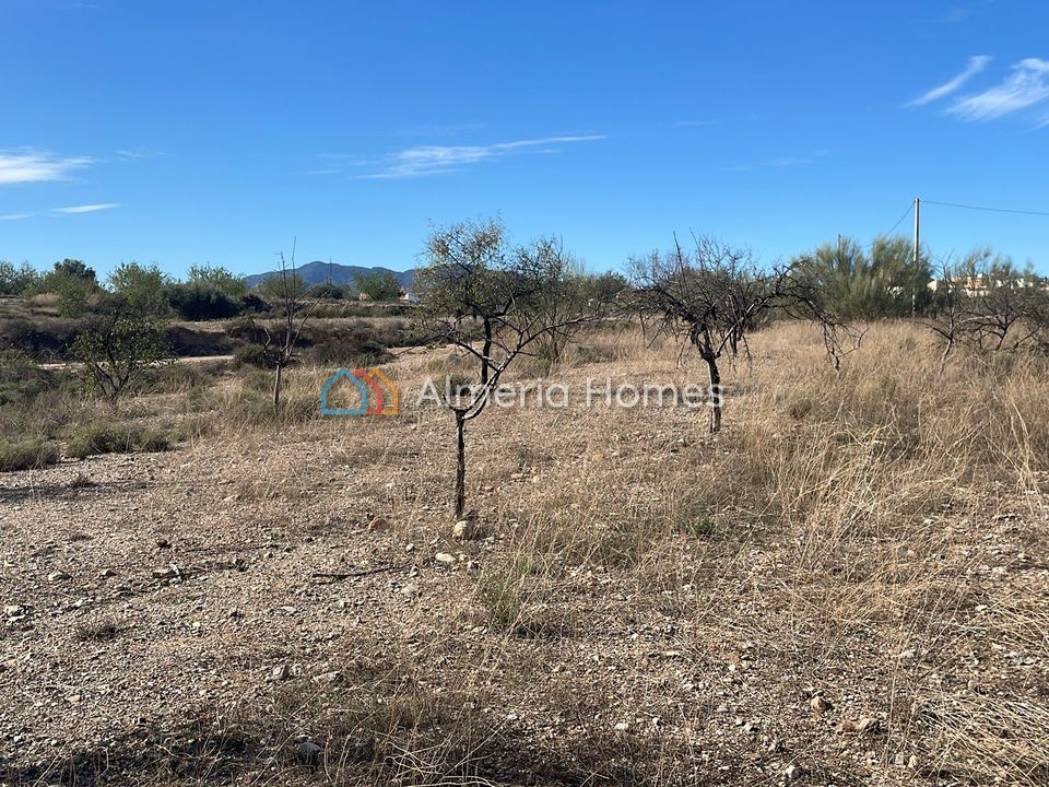 Helårsgrund i Partaloa, Almeria - foto 3