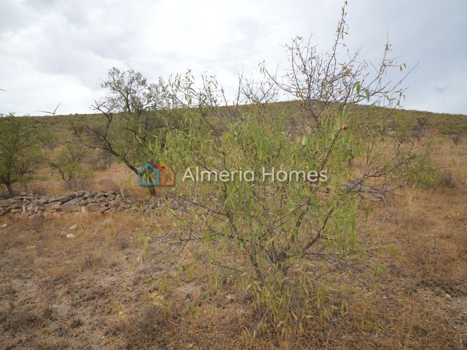 Helårsgrund i Seron, Almeria - foto 3