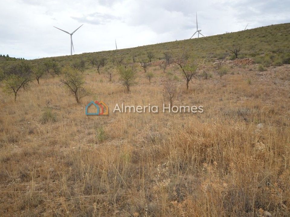 Helårsgrund i Seron, Almeria - foto 5