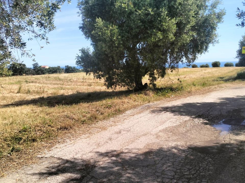 Helårsgrund i Grottammare, Ascoli Piceno - foto 4