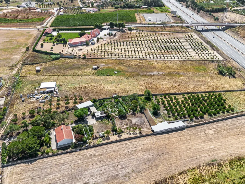 Farm hus i Palmela, Setubal - foto 1