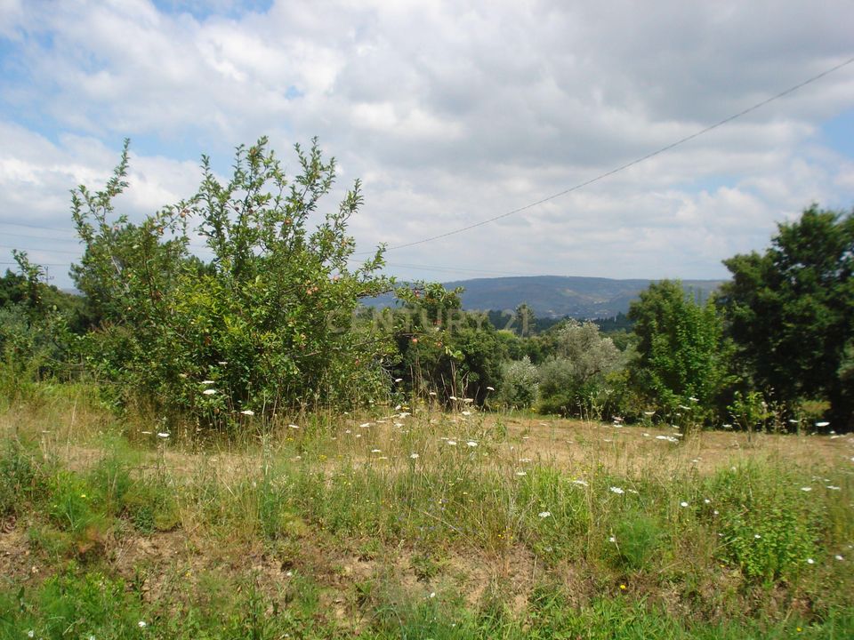 Helårsgrund i Santo Andre, Setubal - foto 3