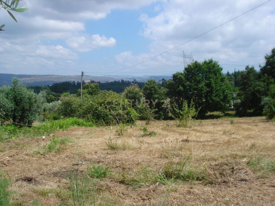 Helårsgrund i Santo Andre, Setubal - foto 4