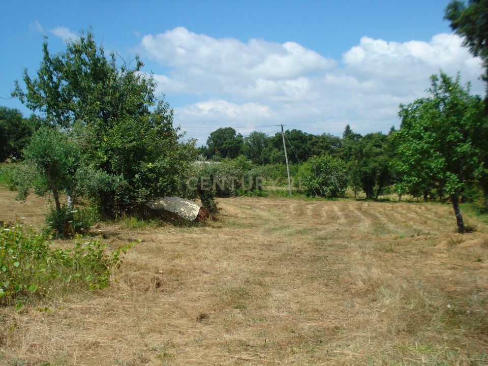 Helårsgrund i Santo Andre, Setubal - foto 5