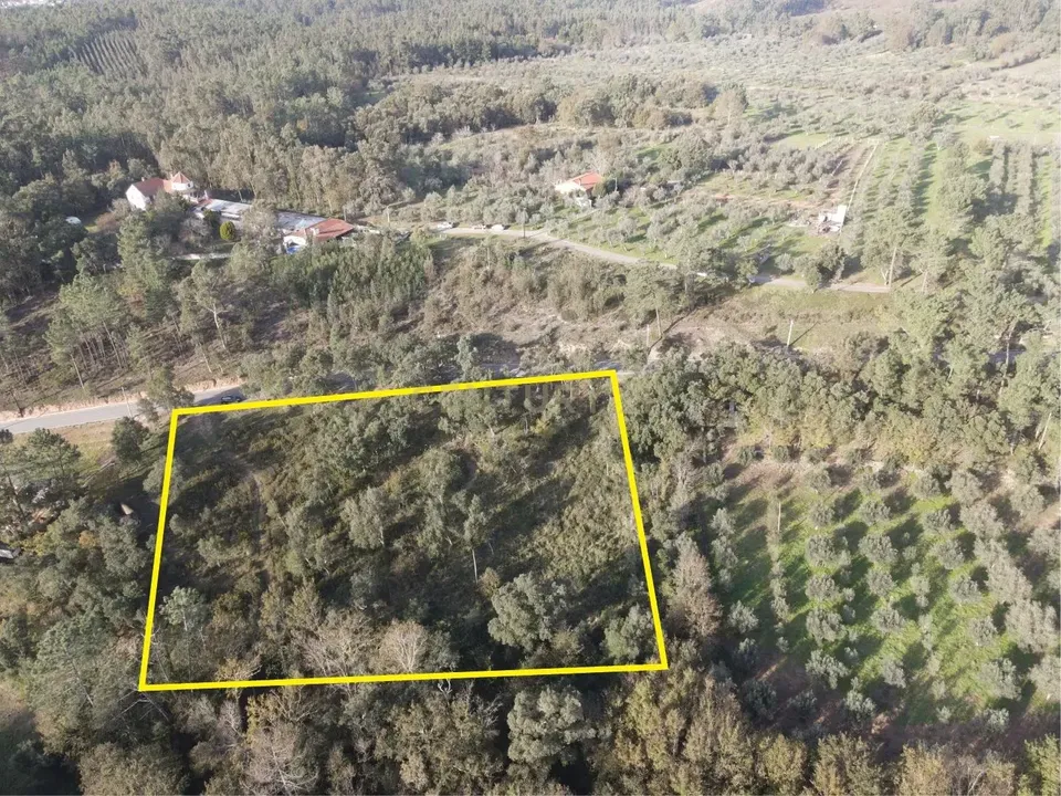 Helårsgrund i Miranda do Corvo, Coimbra - foto 4
