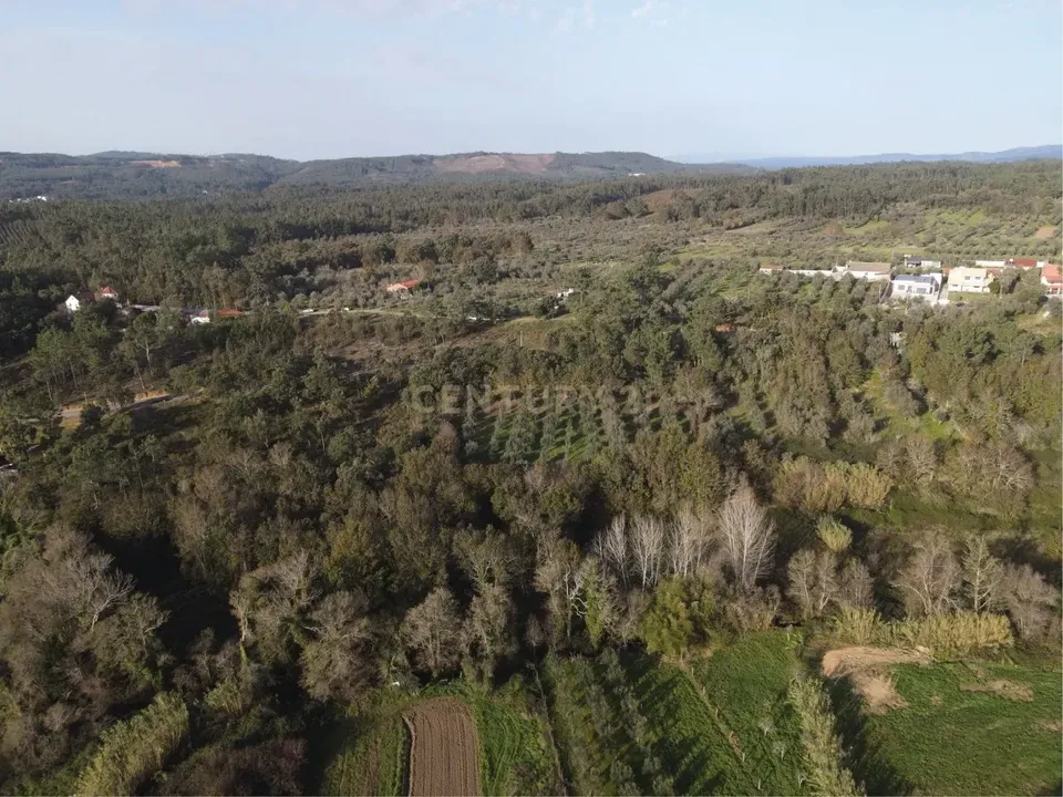 Helårsgrund i Miranda do Corvo, Coimbra - foto 5