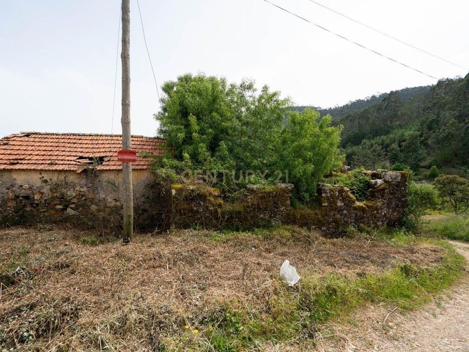 Terreno en Penacova, Coimbra - foto 5