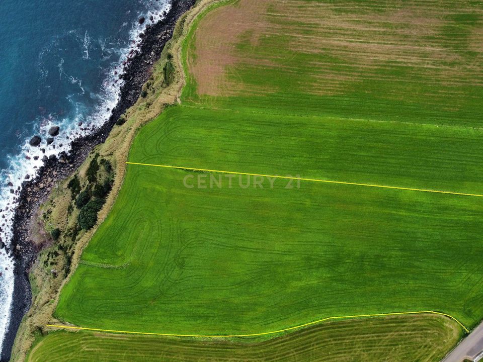 Tomt i Nordeste, Sao Miguel - bilde 2