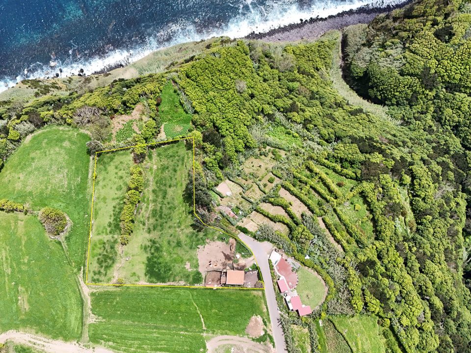 Tomt i Nordeste, Sao Miguel - bilde 2