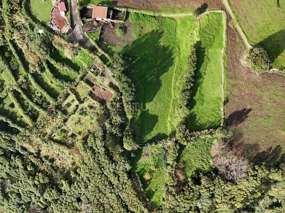 Tomt i Nordeste, Sao Miguel - bilde 3