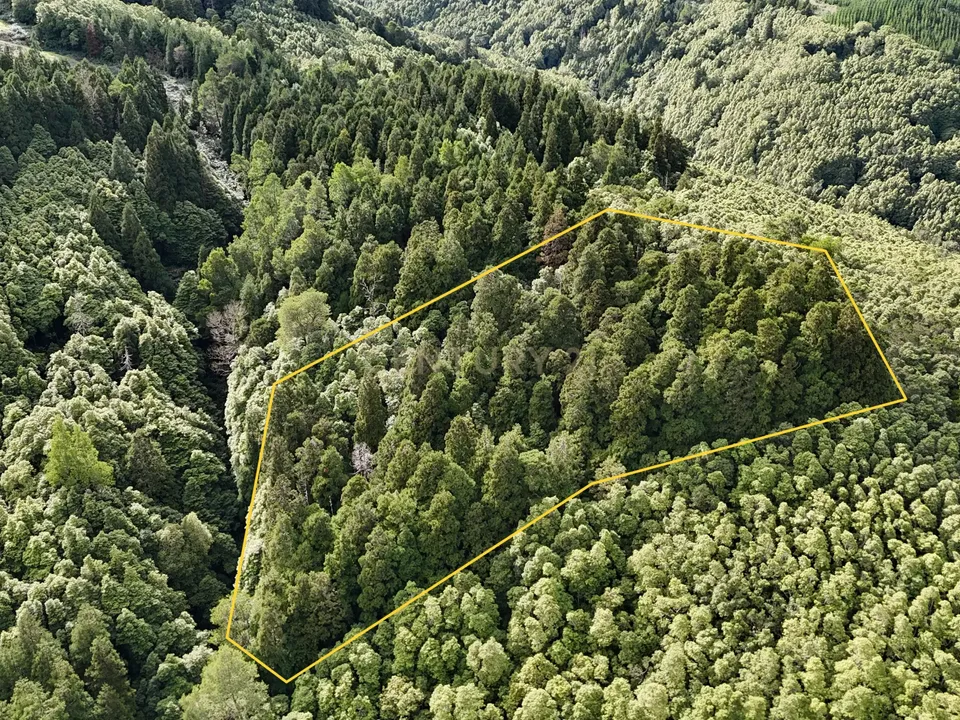Helårsgrund i Nordeste, Sao Miguel - foto 1