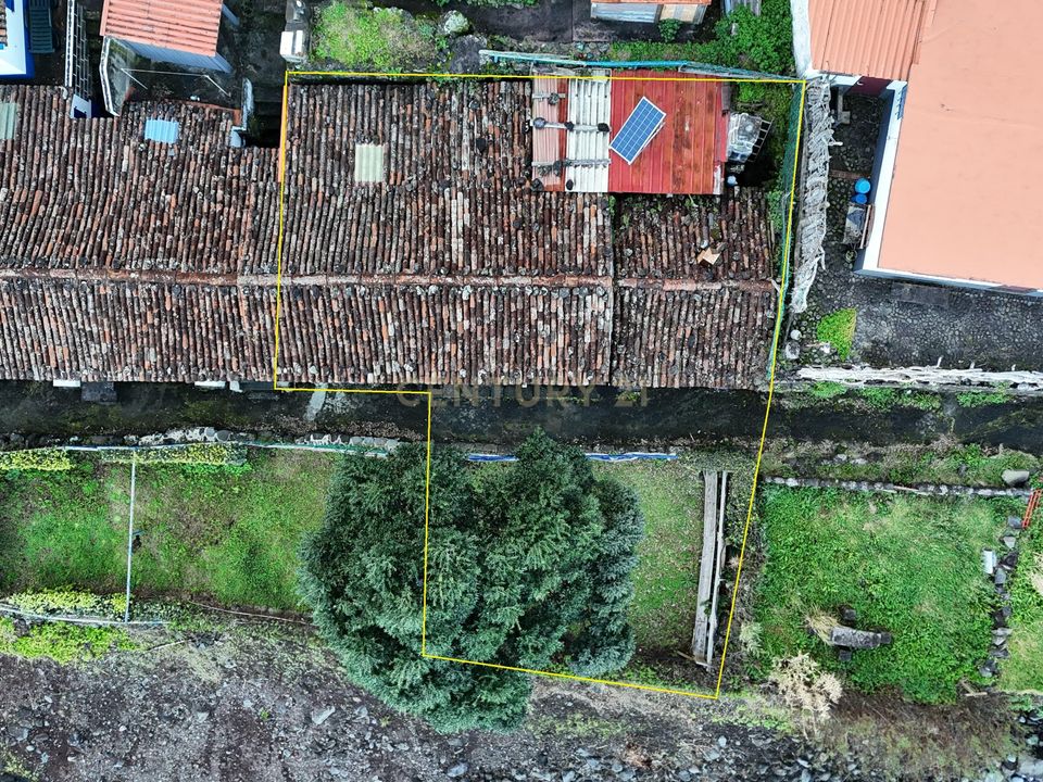Villa i Nordeste, Sao Miguel - bilde 4