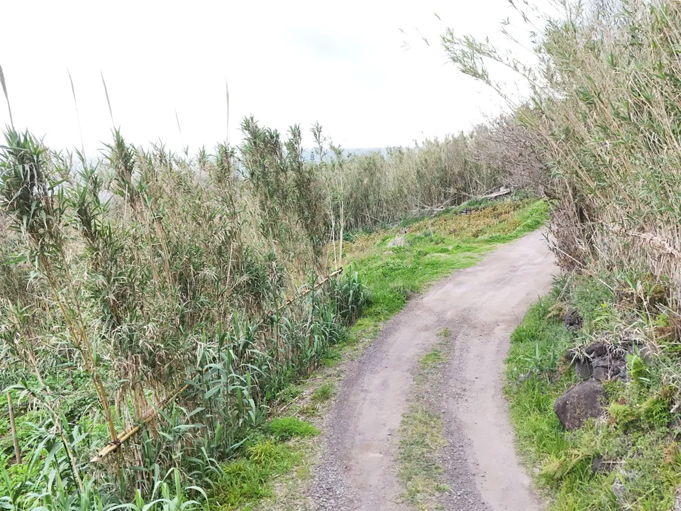 Tomt i Povoacao, Sao Miguel - bilde 3