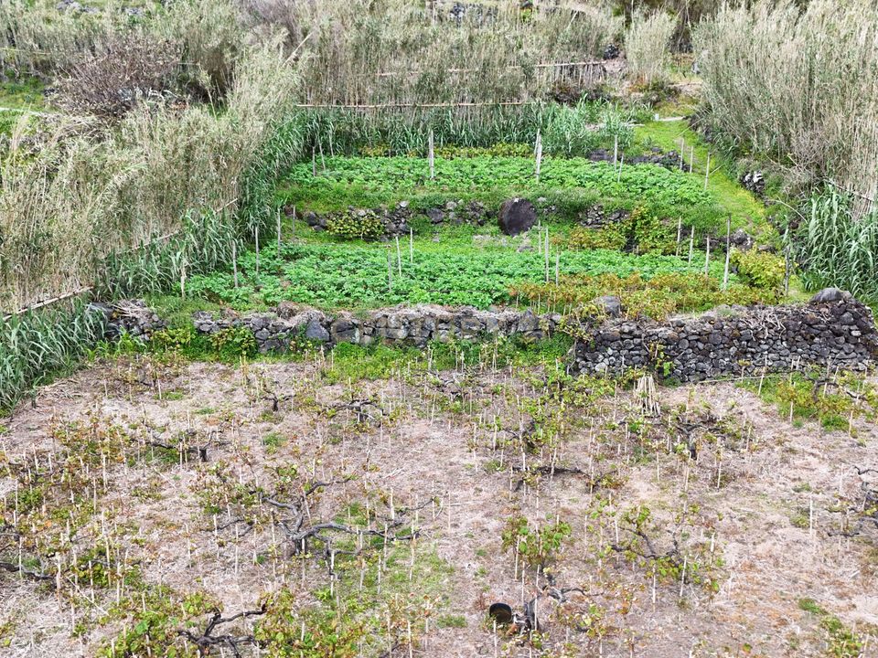 Tomt i Povoacao, Sao Miguel - bilde 4