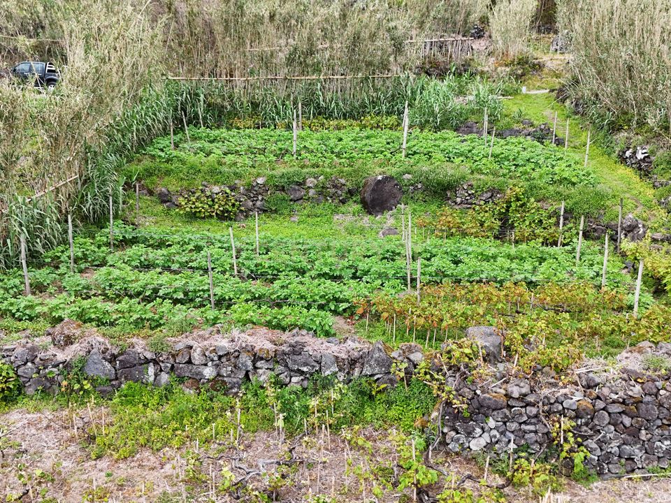 Tomt i Povoacao, Sao Miguel - bilde 5