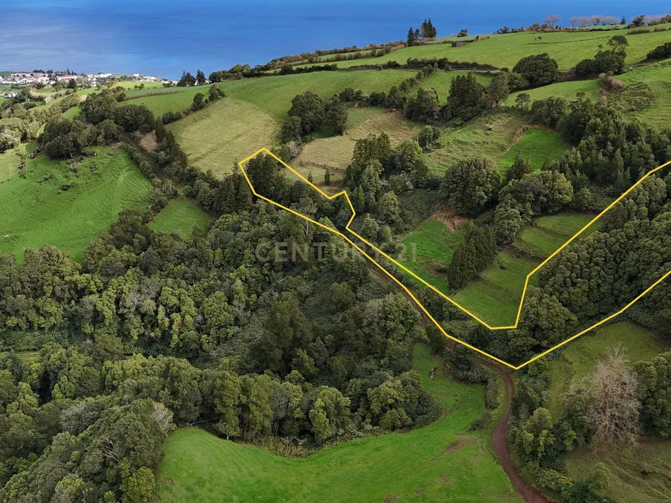 Tomt i Nordeste, Sao Miguel - bilde 2