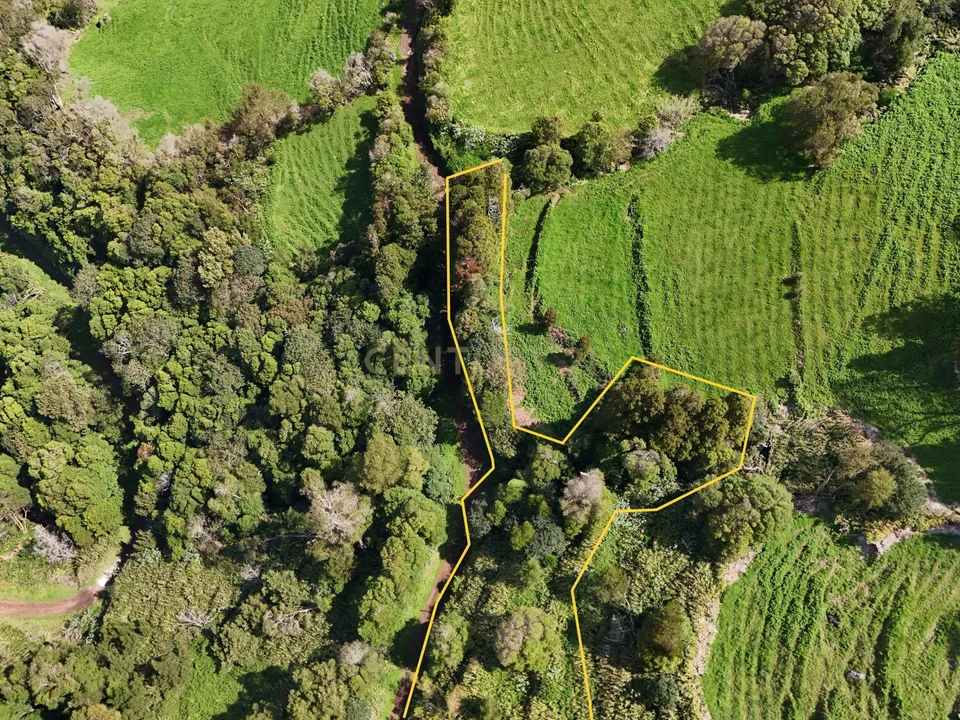 Tomt i Nordeste, Sao Miguel - bilde 3