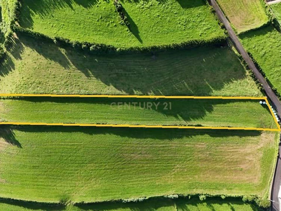 Tomt i Nordeste, Sao Miguel - bilde 5