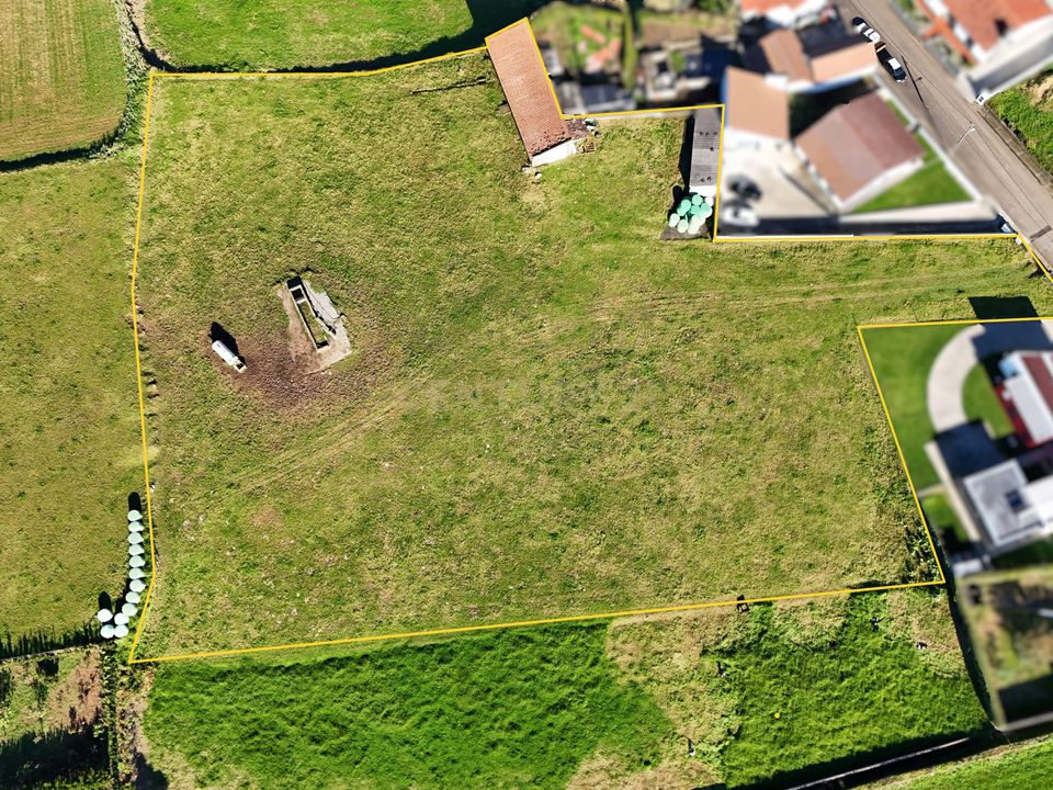 Terra a Nordeste, Sao Miguel - foto 4