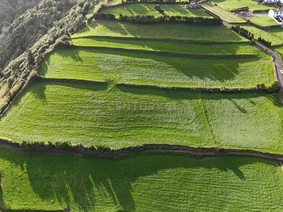 Tomt i Nordeste, Sao Miguel - bilde 3