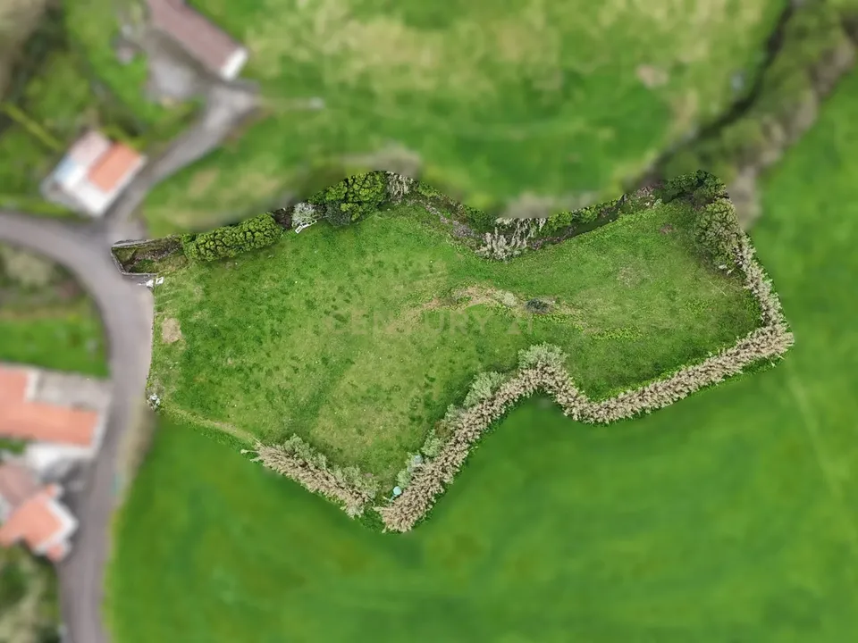 Tomt i Nordeste, Sao Miguel - bilde 2