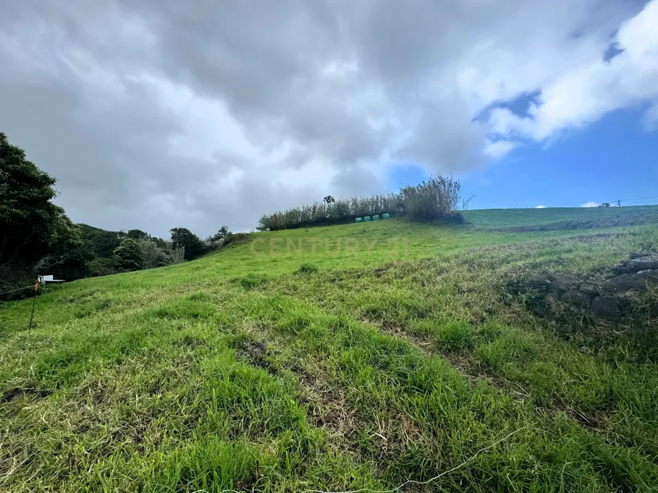 Tomt i Nordeste, Sao Miguel - bilde 5
