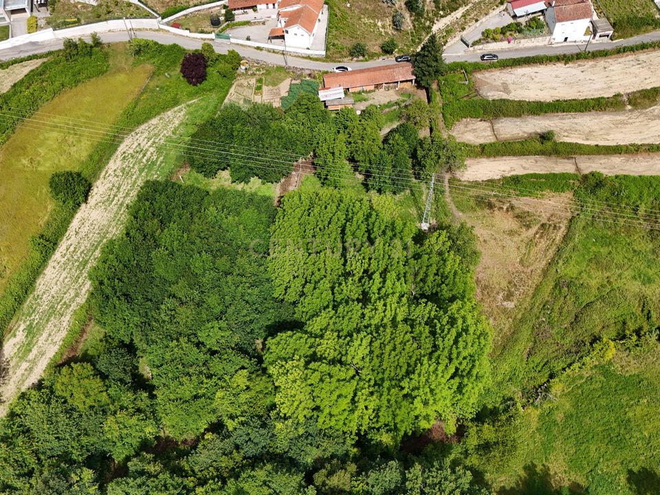 Tomt i Vouzela, Viseu - bilde 2
