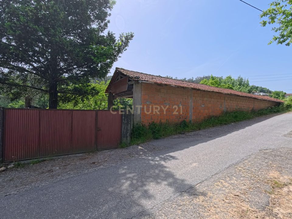 Tomt i Vouzela, Viseu - bilde 3