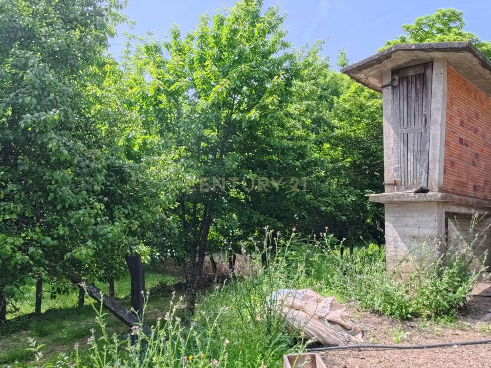 Tomt i Vouzela, Viseu - bilde 5