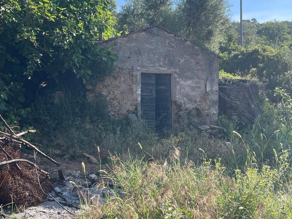 Villa i Monte Argentario, Grosseto - foto 2