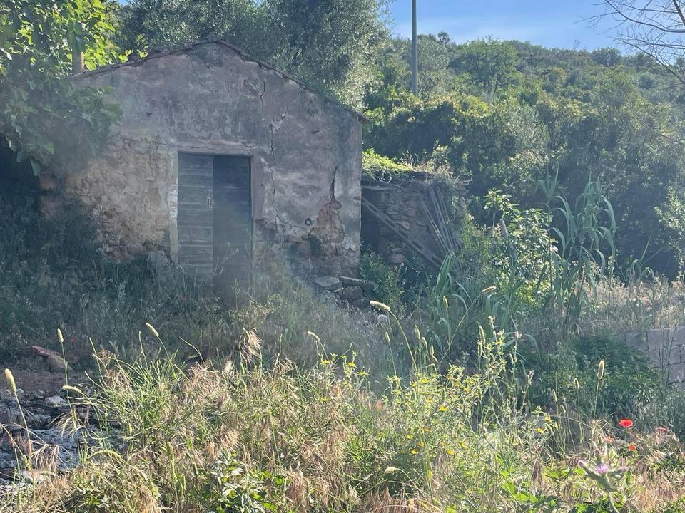 Villa i Monte Argentario, Grosseto - foto 4