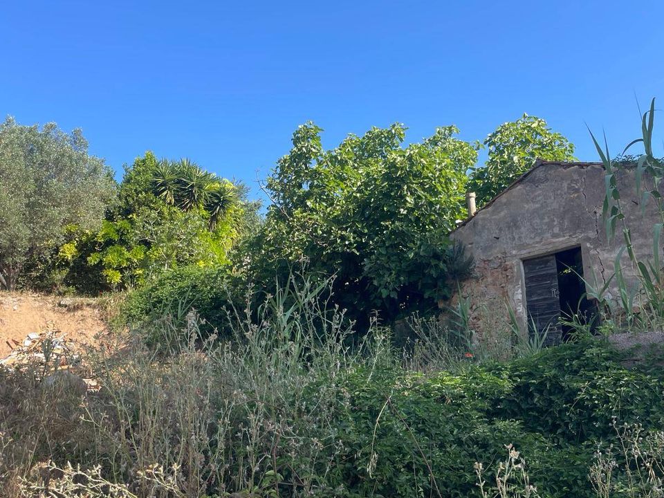 Villa i Monte Argentario, Grosseto - foto 5