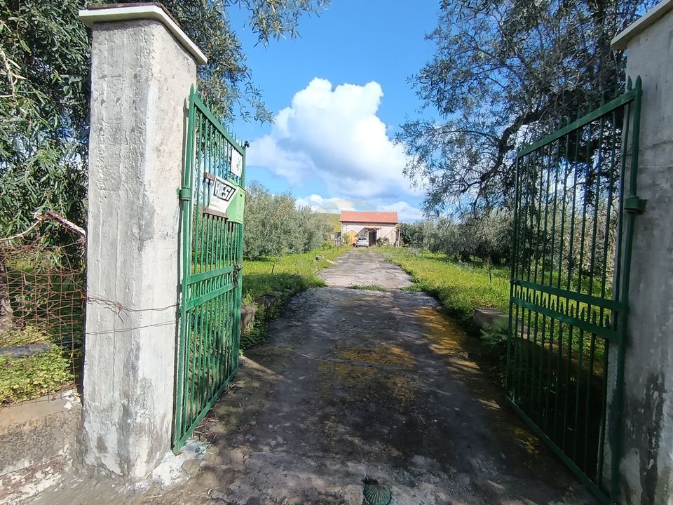 Erhvervsejendom i Paterno, Catania - foto 1