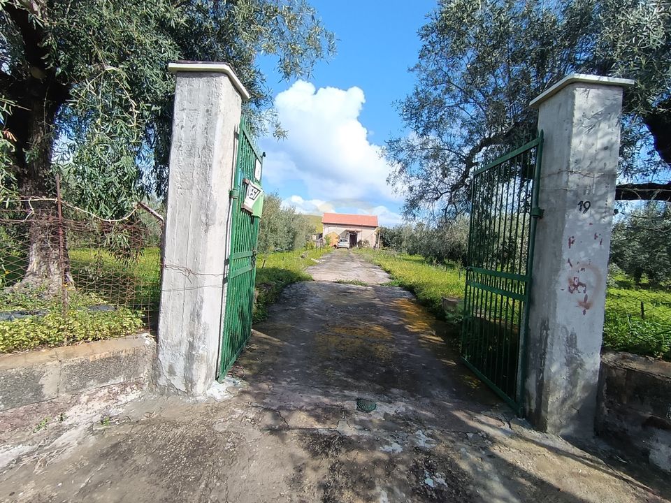 Erhvervsejendom i Paterno, Catania - foto 2