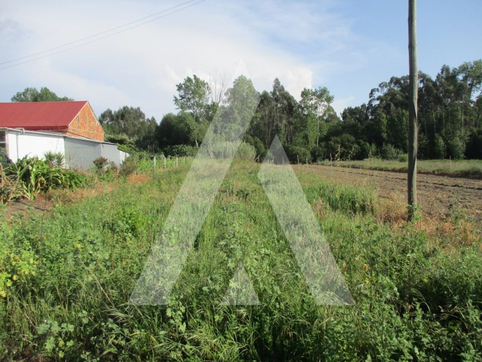 Helårsgrund i Oliveira do Bairro, Aveiro - foto 3