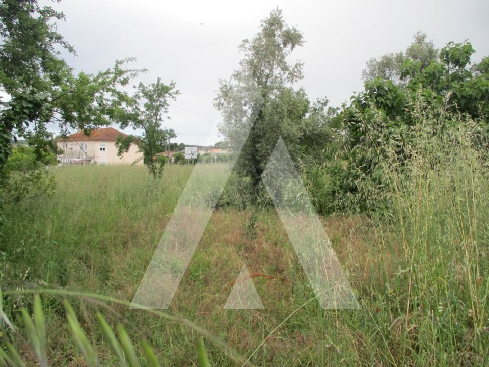 Helårsgrund i Sangalhos, Aveiro - foto 5