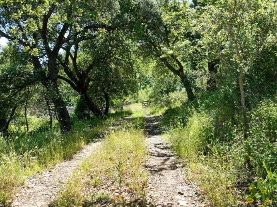 Farm i Estremoz, Evora - foto 1