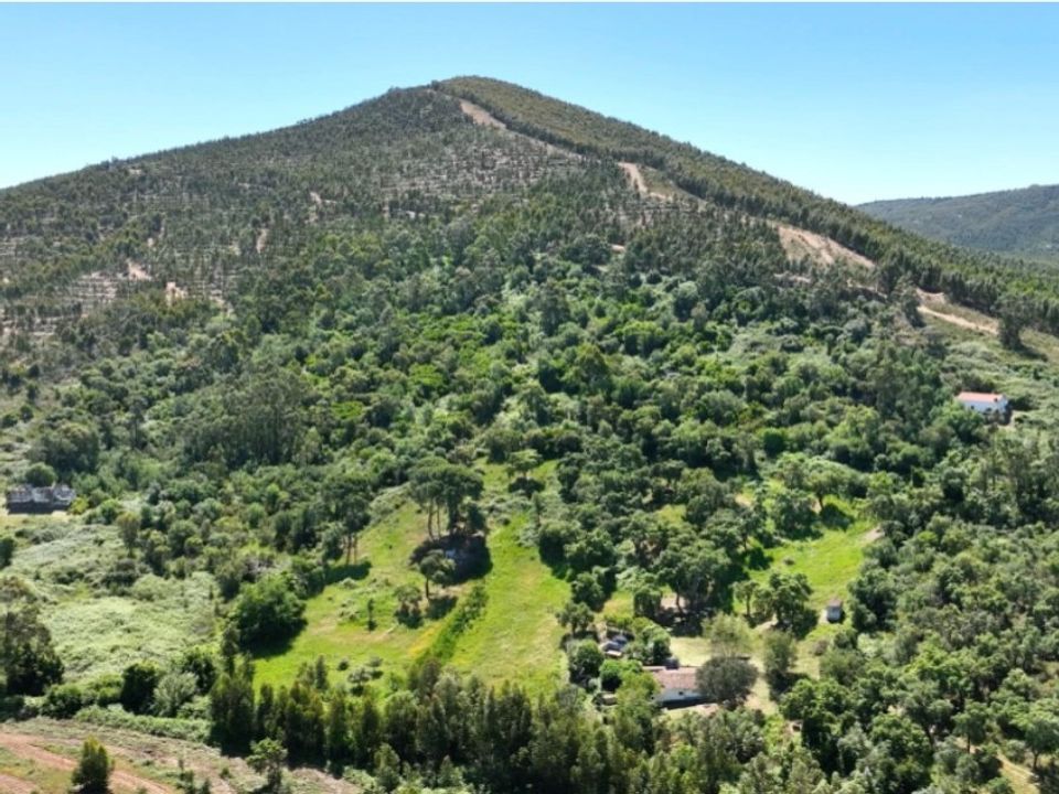Farm i Estremoz, Evora - foto 2