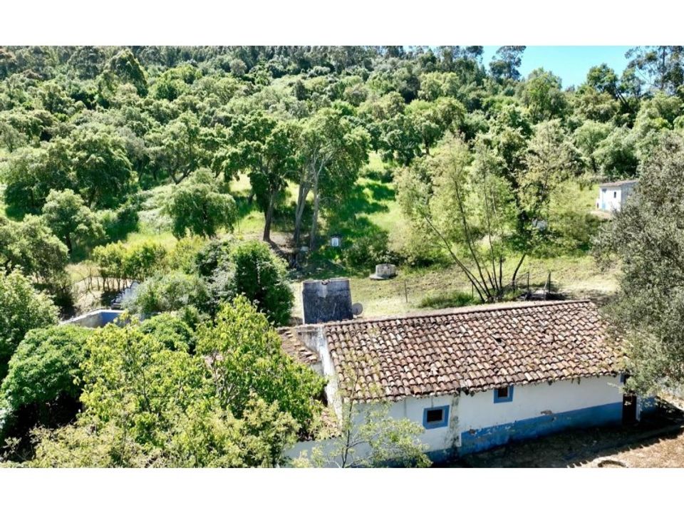 Farm i Estremoz, Evora - foto 4