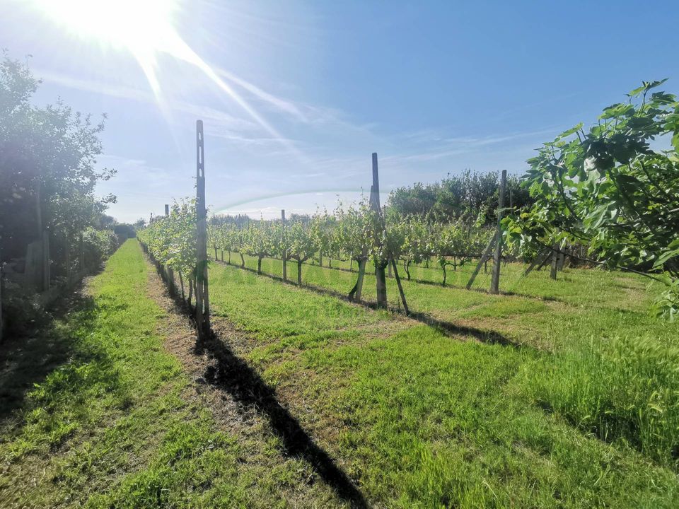 Helårsgrund i Capua, Caserta - foto 1
