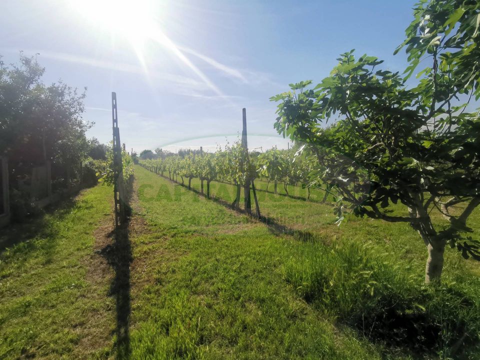 Helårsgrund i Capua, Caserta - foto 2
