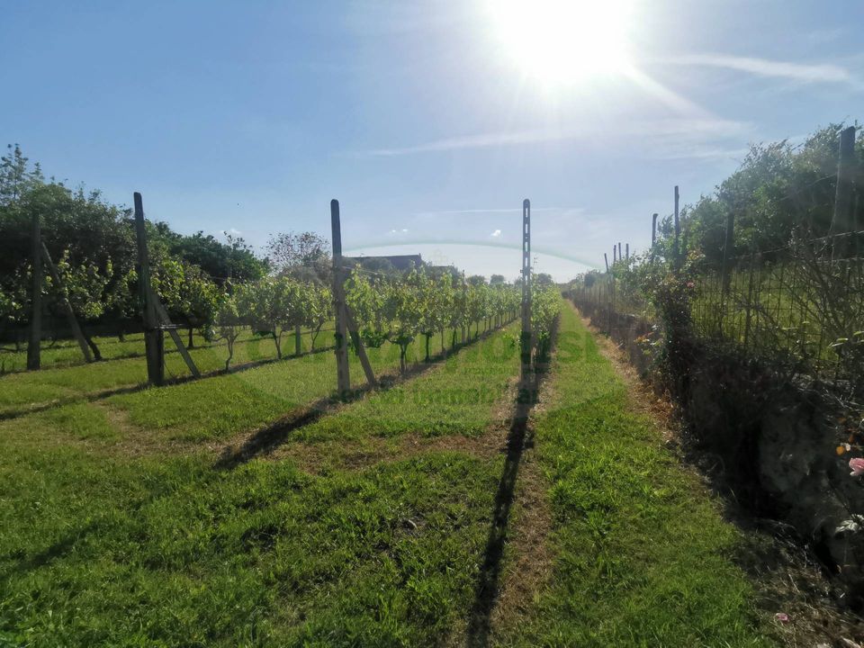Helårsgrund i Capua, Caserta - foto 4