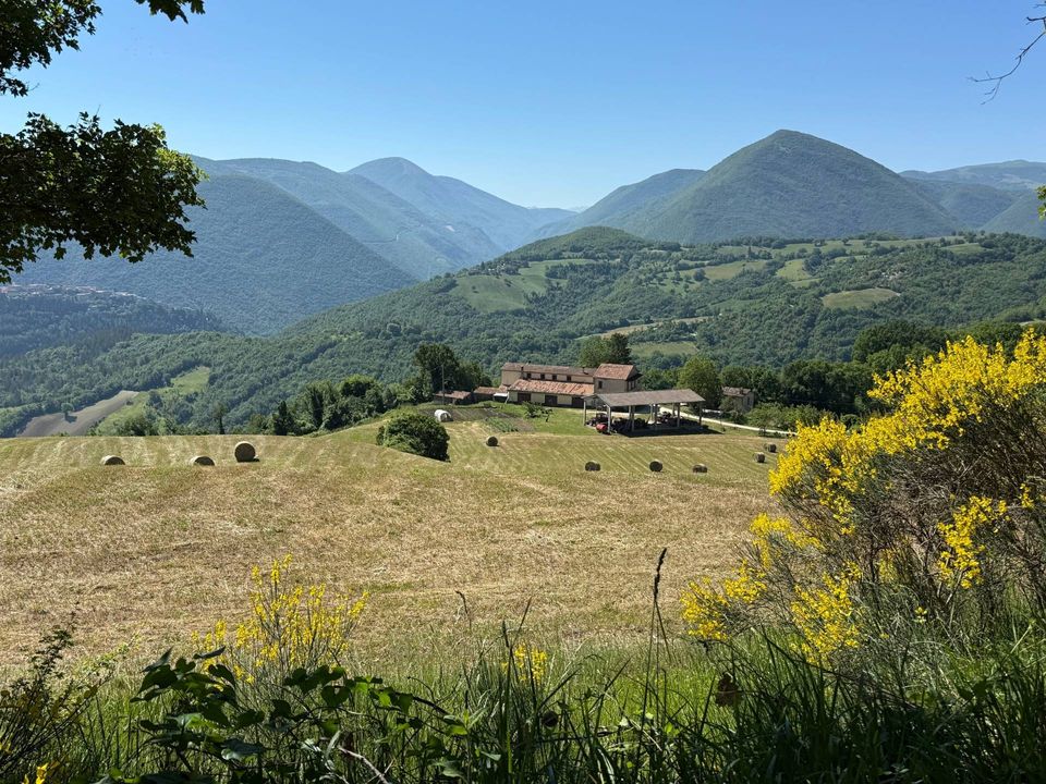 Landejendom i Cerreto di Spoleto, Perugia - foto 1