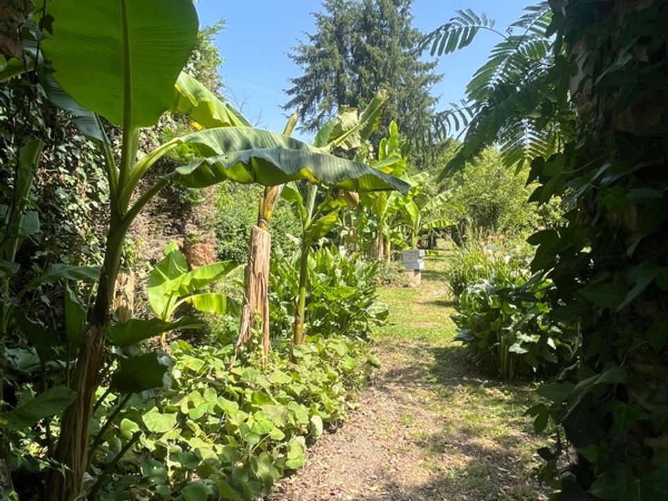 Villa i Plaisance, Gers - foto 2