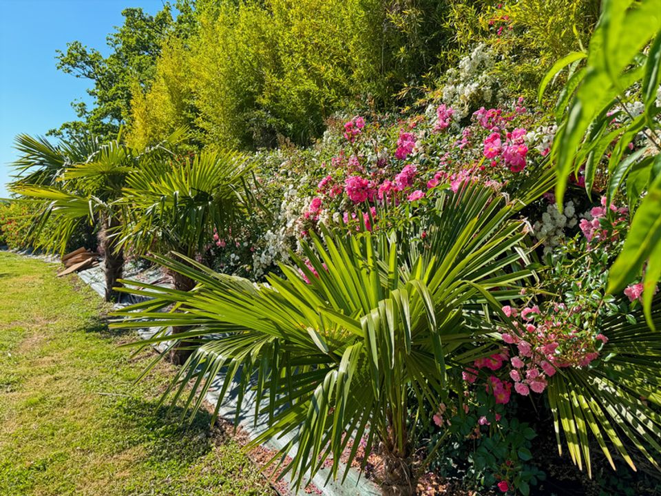 Villa a Pouydraguin, Gers - foto 5